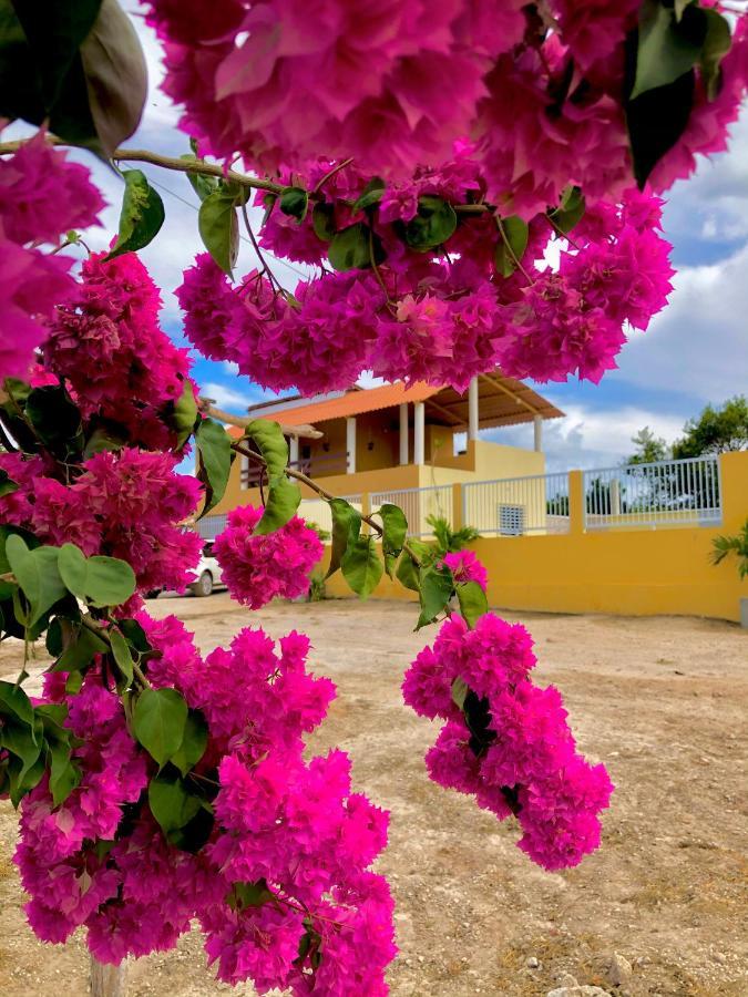 Chacara Recanto Dos Ventos - Ubajara-Ce Extérieur photo